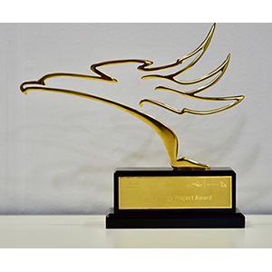 11_NWTP_Emirates Energy Award 2015 – Large Energy Project award Bauer Nimr LLC jointly with PDO